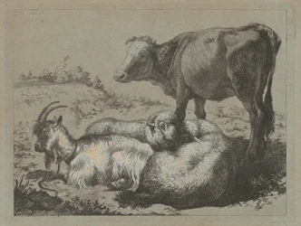 Pysyvä härkä, kaksi lammasta ja vuohi, c. 1762.