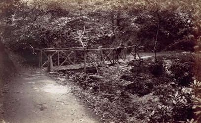 Colwyn Bay. Maalaismainen silta metsässä, 1870-luku.
