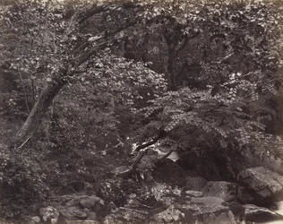 Glen Lynmouthissa, 1860-luku