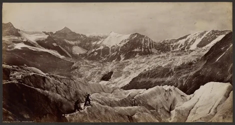Jäämeri: Grindelwald