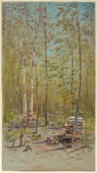 Koivut