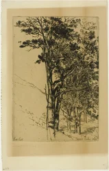 Firs (tutkimus)