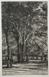 Kensington Gardens (The Large Plate)