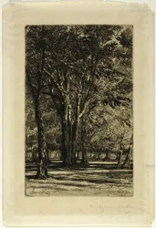 Kensington Gardens, nro II (iso levy)