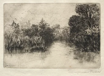 Shere Mill Pond (pieni tutkimus)