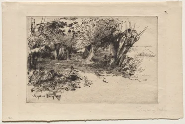 Willows