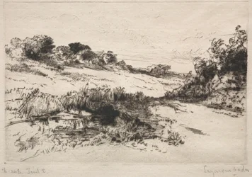 Tuulimyllykukkula, nro 1, 1877.