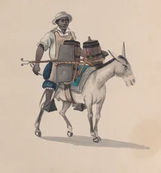 Aasilla ratsastava vesikuljettaja, piirustusryhmästä, joka kuvaa perulaista asua, noin 1848.