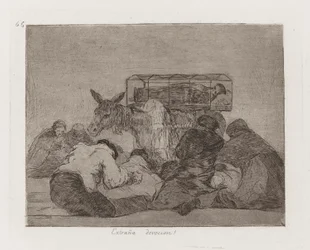 Outoa omistautumista! (Strange Devotion!), levy 66 julkaisusta The Disasters of War