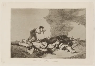 Sitä varten olet syntynyt (Tätä varten olet syntynyt), pl. 12 sarjasta The Disasters of War