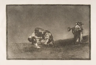 Tauromaquian levy 16: Sama mies heittää härän kehään Madridissa., 1816.