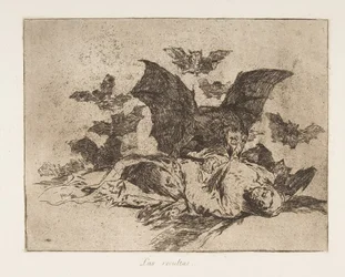 Levy 72 julkaisusta The Disasters of War Los Desastres de la Guerra..., vuosien 1814-15 jälkeen julkaistu 1863.