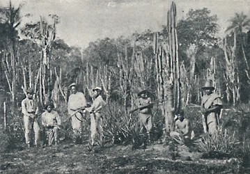 Fields, 1895