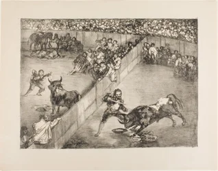 Härkätaistelu jaetussa kehässä, The Bulls of Bordeaux