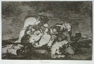 Eivät hekään, levy 10 "The Disasters of War"