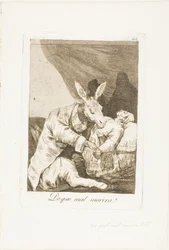 Mihin sairauteen hän kuolee?, levy 40 Los Caprichosista