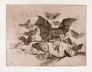 The Disasters of War: Tulokset (etsaus alustavasta piirroksesta