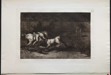 Härkätaistelut: Mariano Ceballos, Alias the Indian, Kills the Bull from his Horse, 1876.