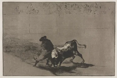 Härkätaistelut: Erittäin taitava valeopiskelija, viittaansa käärittynä, huijaa härkää..., 1876.