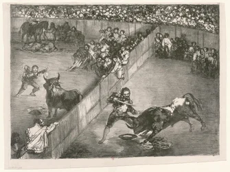 [Les Taureaux de Bordeaux: Paikkojen jako]