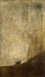 Koira