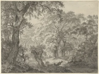 metsäinen maisema