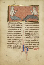 Sireeni ja kentauri bestiaarista Ms Ludwig XV 4, fol. 81v, n. 1280-1300 (tempera, kynä ja muste, lehtikulta ja maali pergamentille)