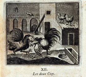 Kaksi kukkoa. Jean de La Fontainen (1621-95) faabeleita. Kuvitus François Chauveau (1613-1676). Vuoden 1728 painos.