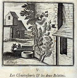 Lepakko ja kaksi lumikkoa. Jean de La Fontainen (1621-95) sadut. Kuvitus: François Chauveau (1613-1676). Painos vuodelta 1728.