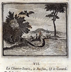 Lepakko, pensas ja ankka. Jean de La Fontainen (1621-95) sadut. Kuvitus: François Chauveau (1613-1676). Painos vuodelta 1728.