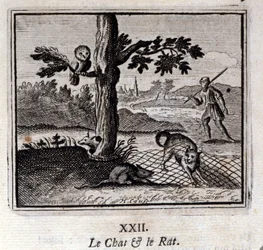 Kissa ja rotta. Jean de La Fontainen (1621-95) sadut. Kuvitus: Francois Chauveau (1613-1676). Painos vuodelta 1728.