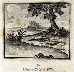 Crevisse ja hänen tyttärensä. Jean de La Fontainen (1621-95) sadut. Kuvitus: François Chauveau (1613-1676). Painos vuodelta 1728.