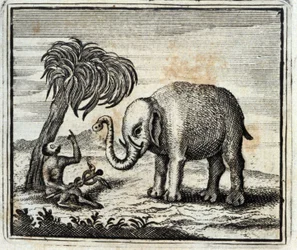 Elefantti ja Jupiterin apina. Jean de La Fontainen (1621-95) sadut. Kuvitus: François Chauveau (1613-1676). Painos vuodelta 1728.