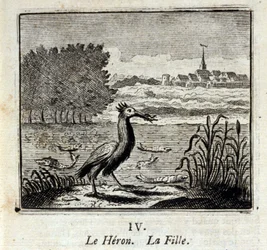 Heron. Jean de La Fontainen (1621-95) sadut. Kuvitus: François Chauveau (1613-1676). Painos vuodelta 1728.