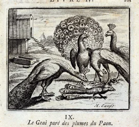 Närhi koristautuu riikinkukon sulilla. Jean de La Fontainen (1621-95) faabeleita. François Chauveaun (1613-1676) kuvitus. Vuoden 1728 painos.