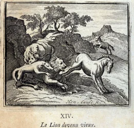 Leijona muuttui vanhaksi. Jean de La Fontainen (1621-95) sadut. Kuvitus: Francois Chauveau (1613-1676). Painos vuodelta 1728.