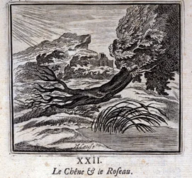 Tammi ja ruoko. Jean de La Fontainen (1621-95) sadut. Kuvitus: François Chauveau (1613-1676). Painos vuodelta 1728.