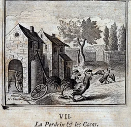 Peltopyy ja kukot. Jean de La Fontainen (1621-95) faabeleita. François Chauveaun (1613-1676) kuvitus. Vuoden 1728 painos.