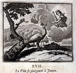 Riikinkukko valittaa Junolle. Jean de La Fontainen (1621-95) faabeleita. François Chauveaun (1613-1676) kuvitus. Vuoden 1728 painos.