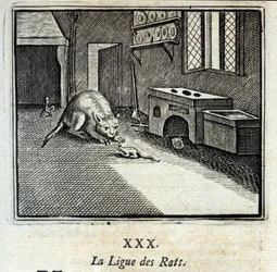Rotan liiga. Jean de La Fontainen (1621-95) sadut. Kuvitus: François Chauveau (1613-1676). Painos vuodelta 1728.