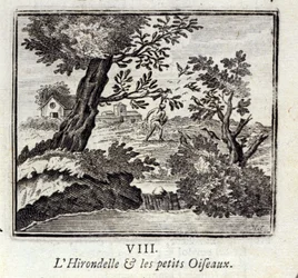 Pääskynen ja pienet linnut. Jean de La Fontainen (1621-95) sadut. Kuvitus: François Chauveau (1613-1676). Painos vuodelta 1728.