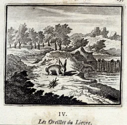 Lievren korvat. Jean de La Fontainen (1621-95) sadut. Kuvitus: François Chauveau (1613-1676). Painos vuodelta 1728.