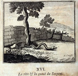 Käärmeen pää ja häntä. Jean de La Fontainen (1621-95) faabeleita. François Chauveaun (1613-1676) kuvitus. Vuoden 1728 painos.