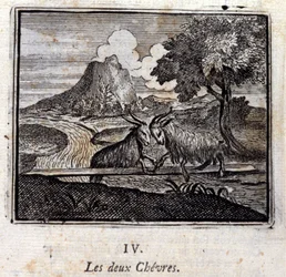 Kaksi vuohetta. Jean de La Fontainen (1621-95) sadut. Kuvitus: François Chauveau (1613-1676). Painos vuodelta 1728.