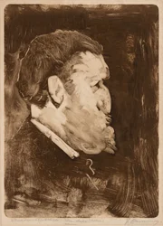 William Gedney Buncen karikatyyri, 1883-84