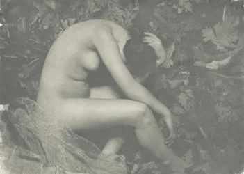 Cicada, 1898.