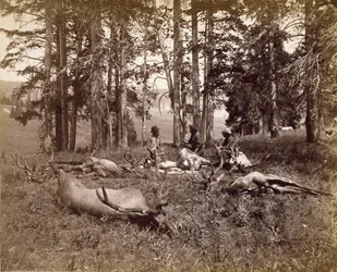 Elk Hunters, Yellowstone, n. 1880 (albumin hopeaprintti)
