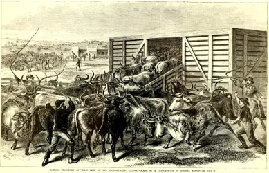 Cattle Chute Abilenessa, Kansasissa, n. 1871 (kaiverrus)