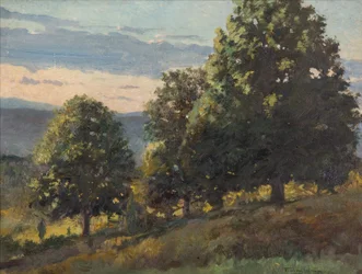 Maisema