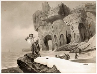 Karhusaari Skandinaviasta, Lapista, Spitsbergeistä ja Färsaarista, pubi. 1852.